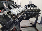 Yella Terra Platinum shaft roller rockers installed on Holden V8
