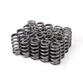 Audi RS3 Daza Beehive Spring Titanium Retainer and Seat Kit Kelford - image 1