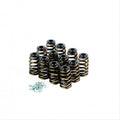 Crow Cams Holden V6 Ecotec Performance Spring Kit — VTK-ECOTEC — product image 1