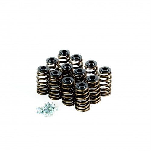 Crow Cams Holden V6 Ecotec Performance Spring Kit — VTK-ECOTEC — product image 1