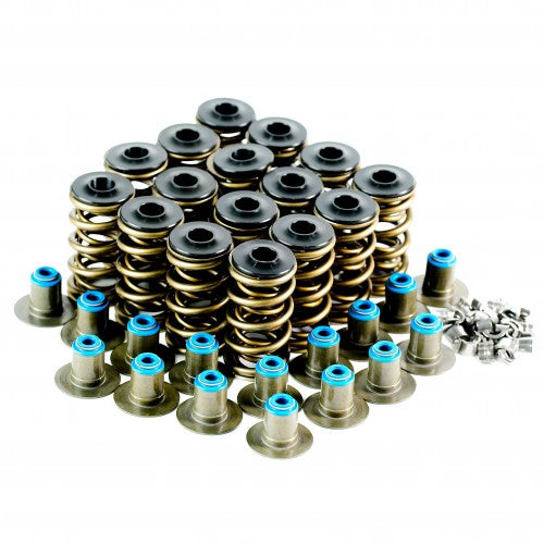 Included VTKLS8 springs, retainers, locks and seals