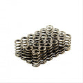 Crow Cams 1809-24 Barra performance valve springs