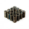 Crow Cams LT1 Equivalent Single Valve Springs with Damper — supplier product image