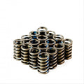 Crow Cams Standard Replacement GM Springs - Set of 16 — supplier product image