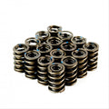 Crow Cams V8 Dual Valve Springs — supplier product image