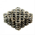 Crow Cams V8 Dual Valve Springs — supplier product image