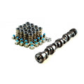 Crow Cams 871286K camshaft and VTKLS8 dual spring package