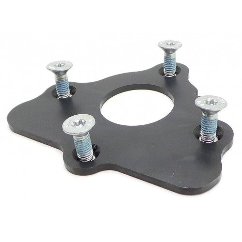 Genuine GM LS cam retaining plate and four bolts