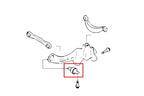 Hardrace Rear Trailing Arm Bushing – Ford Focus XR5 / Volvo C30 / Volvo V50 (6305) – 6305