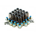 LS Single Beehive Valve Spring Kit — Crow Cams VTKLS1