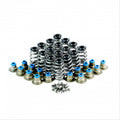 LS Single Beehive Valve Spring Kit — Crow Cams VTKLS5