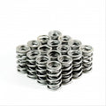 PAC RPM Series - LS Dual Valve Springs — Crow Cams 4207X-16