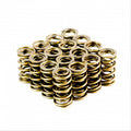 LS Dual Valve Springs - Set of 16 — Crow Cams 4439-16