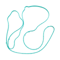 LSA Supercharger Housing Gasket — Crow Cams 12613457