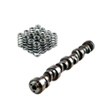 LS Cam 212/220 .517/.528 114 and 4231-16 Valve Springs — Crow Cams 871265S