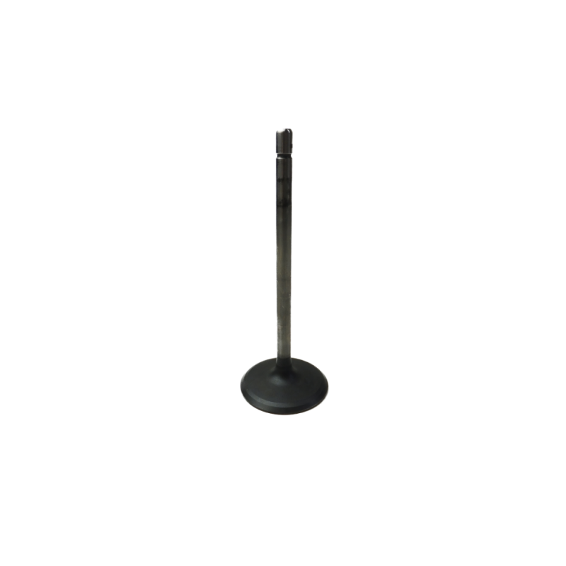 GM V6 Alloytec Intake Valve (LFX) — Crow Cams 12610931