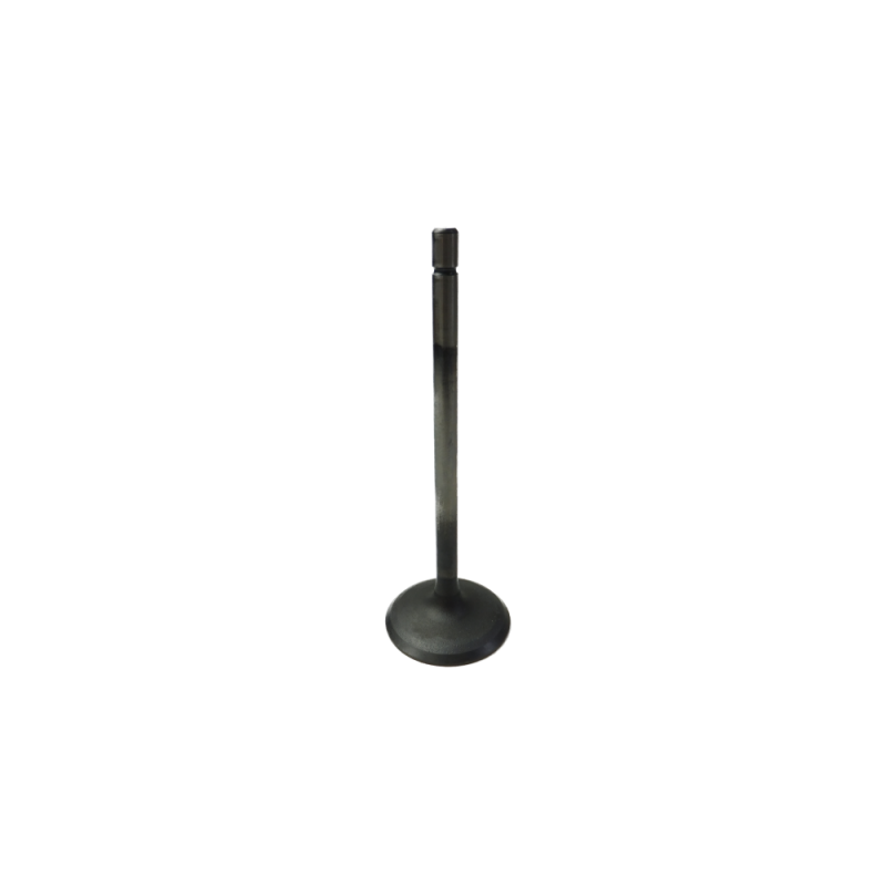 GM V6 Alloytec Intake Valve (LF1,LFW) — Crow Cams 12620501
