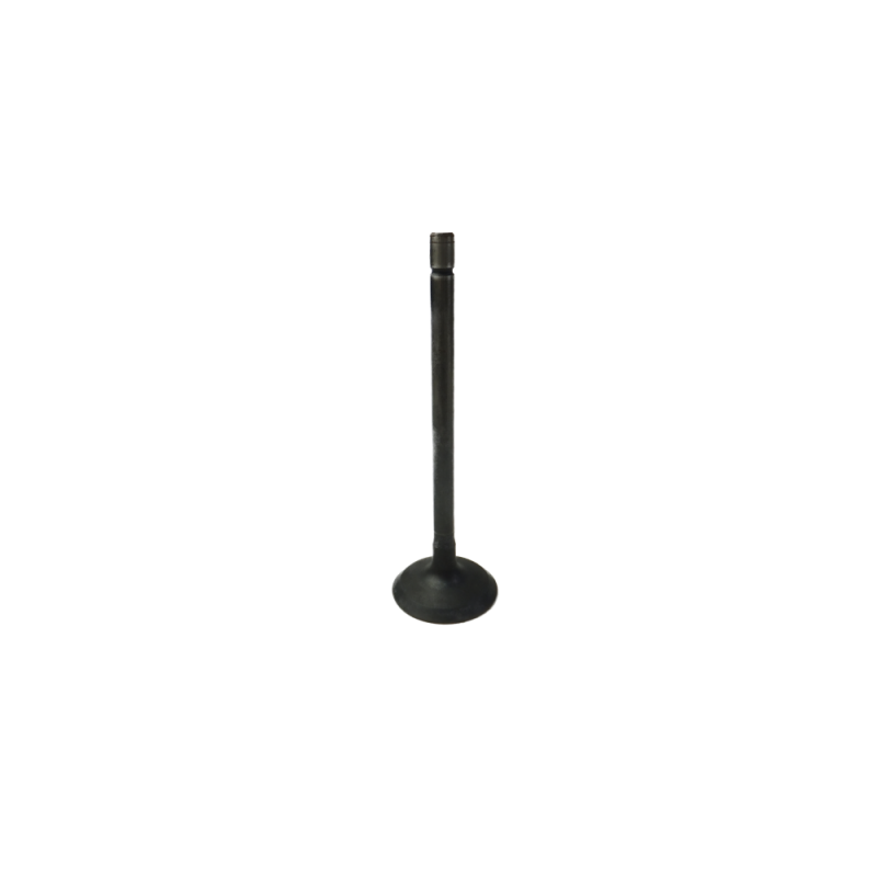 GM V6 Alloytec Exhaust Valve (LF1,LFW,LFX) — Crow Cams 12621548