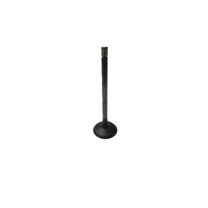 GM V6 Alloytec Exhaust Valve (LLT,LY7) — Crow Cams 12631974