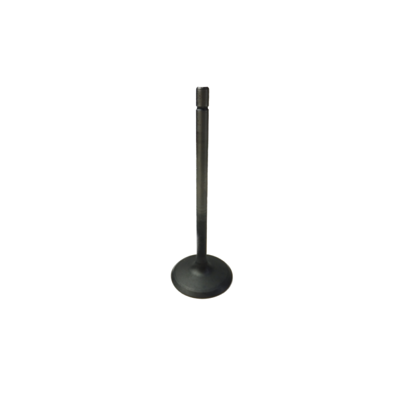 GM V6 Alloytec Intake Valve (LLT,LY7) — Crow Cams 12631975