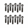 GM LS Con Rod Bolts - Set of 16 — Crow Cams 11570662-16