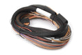 Haltech IO 12 Expander Box - Flying Lead Harness Only Length: 2.5m (8') - HT-049902