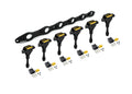 Haltech R35 Coil Bracket for Nissan RB20/25/26 includes bracket coils and connectors - HT-120202