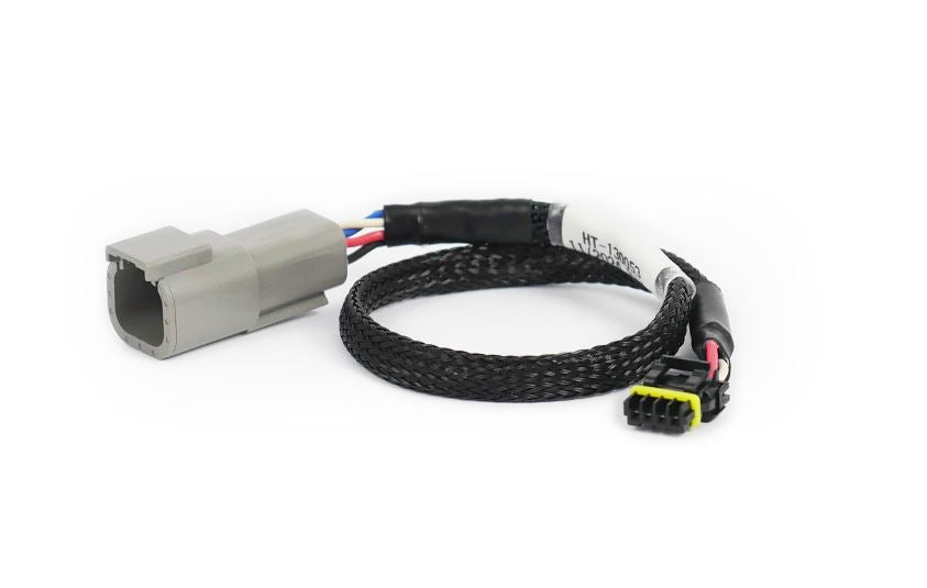 Haltech CAN Adaptor Loom - DTM-4 to Molex Mizu-P25 - Holley - HT-130053 - image 1