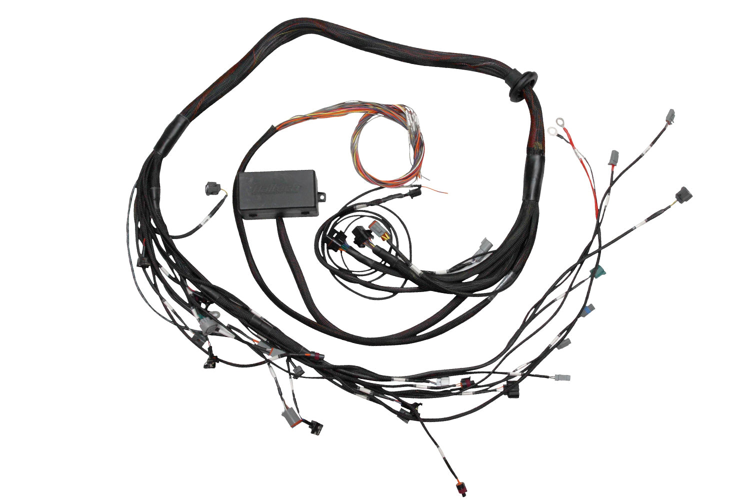Haltech Elite 2000/2500 Toyota 2JZ Terminated Engine Harness only - HT-130318