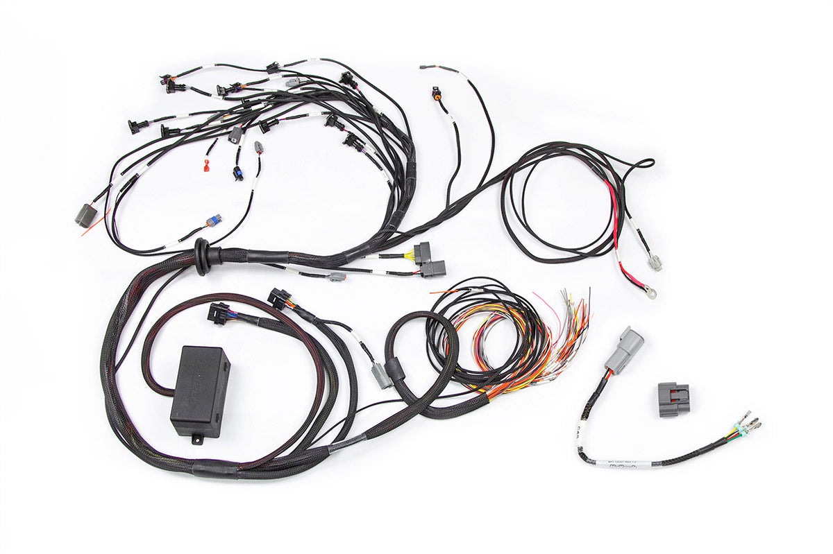 Haltech RB Twin CAM Main Harness, CAS Breakout, No Ignition Breakout - HT-141226
