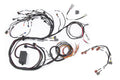 Haltech RB Twin CAM Main Harness, CAS Breakout, Early Ignition - HT-141230