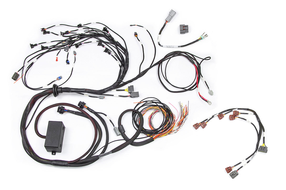 Haltech RB Twin CAM Main Harness, CAS Breakout, Early Ignition - HT-141230