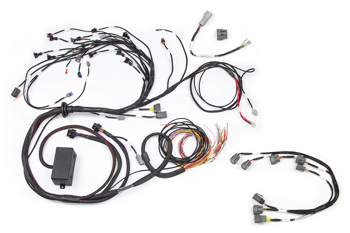 Haltech RB Twin CAM Main Harness, CAS Breakout, Late Ignition - HT-141231