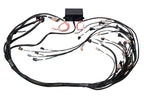 Haltech Elite GM Gen IV LS2 Terminated Harness - product media 4