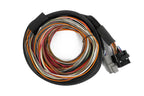 Haltech IO16 Universal Wire-in harness 2.6m (8.5') - HT-180000
