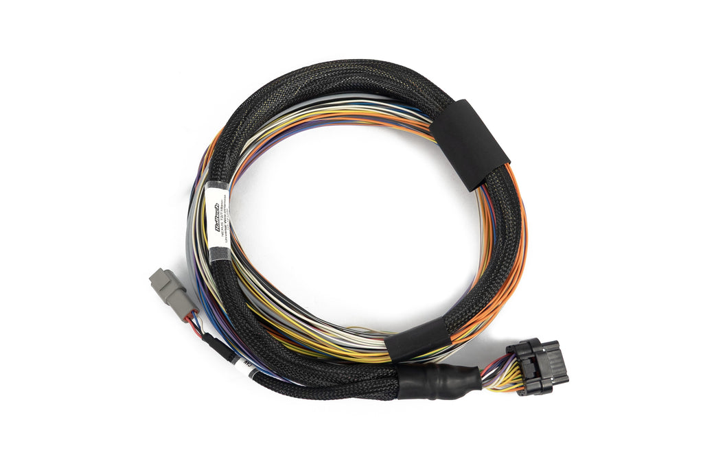 Haltech Nexus T1 / T2 Universal Wire-in Harness - official Haltech product image 2
