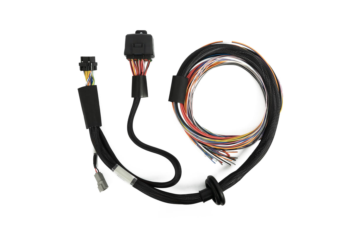 Haltech Nexus T1 / T2 Universal Wire-in Harness - official Haltech product image 4