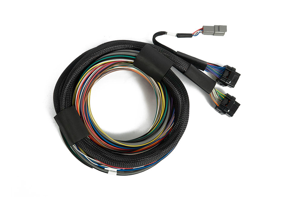 Haltech Nexus S3 / S2 Universal Wire-In Harness - 2.5m (8') - HT-182200