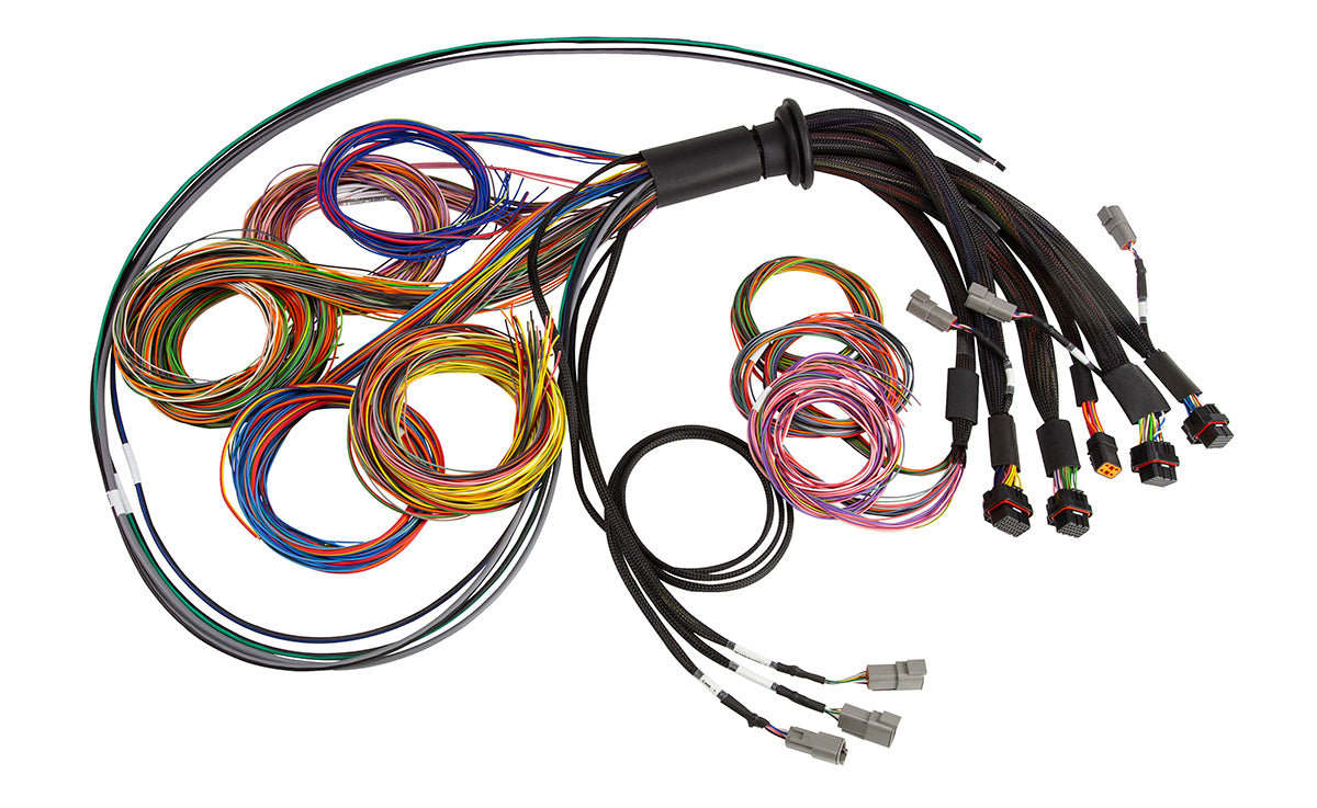 Haltech Nexus R5 Universal Wire-In harness - 5m (16') - HT-185201