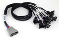Haltech Nexus Universal V8 - Junior Timer (EV1) Injector Primary Breakout - HT-186000