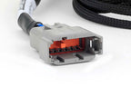 Haltech Nexus Universal V8 - Junior Timer (EV1) Injector Primary Breakout - HT-186000 - official image 2