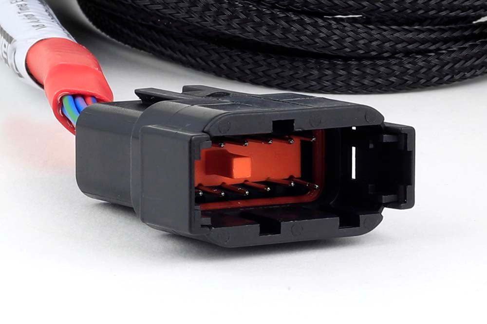 Haltech Nexus V8 Junior Timer (EV1)Secondary Injector Breakout - HT-186001 - official image 2