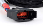 Haltech Nexus V8 Junior Timer (EV1)Secondary Injector Breakout - HT-186001 - official image 2