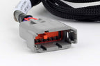 Haltech Nexus V8 GT150 (USCAR) Injector Primary Breakout - HT-186002 - official image 2