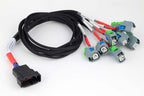 Haltech Nexus Universal V8 - GT150 (USCAR) Injector Secondary Breakout - HT-186003