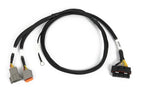 Haltech HT-186069 Nexus 6 Cylinder Igniter Adapter Harness connector view