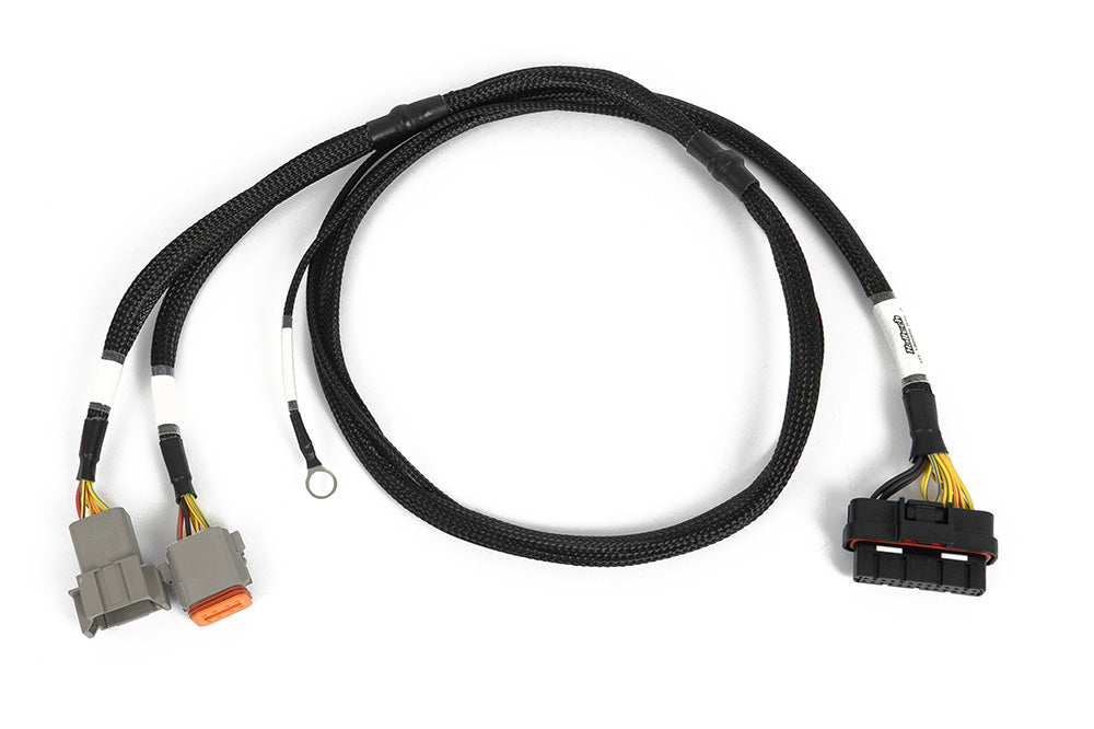 Haltech HT-186069 Nexus 6 Cylinder Igniter Adapter Harness connector view