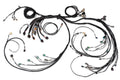 Haltech Nexus R5 LSx Terminated Harness - product media 1