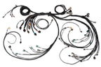 Haltech Nexus R5 LSx Terminated Harness - product media 2