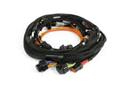Haltech Nexus Rebel JZ - Main Terminated Harness — product view 2